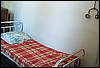 roste509.jpg