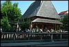 roste517.jpg