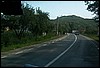roste522.jpg