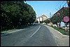 roste533.jpg