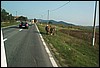 roste539.jpg