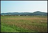 roste540.jpg