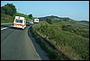 roste544.jpg