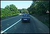 roste545.jpg