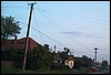 roste555.jpg