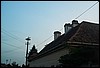 roste556.jpg