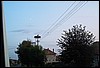 roste557.jpg