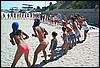 roste629.jpg
