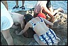 roste660.jpg