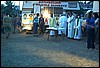 roste700.jpg