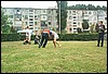 roste715.jpg