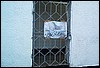 roste729.jpg