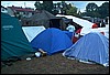 roste735.jpg