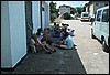 roste739.jpg