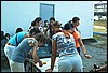 roste748.jpg