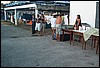 roste768.jpg