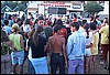 roste786.jpg
