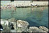 roste803.jpg