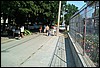 roste805.jpg