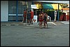 roste808.jpg