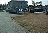 roste810.jpg