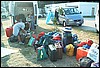 roste825.jpg