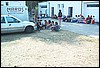 roste832.jpg