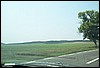 roste855.jpg