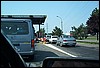 roste858.jpg