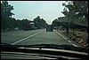 roste860.jpg