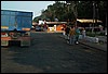 roste863.jpg