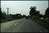 roste866.jpg
