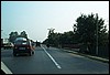 roste867.jpg