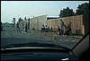 roste872.jpg