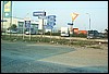 roste876.jpg