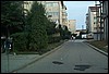 roste886.jpg