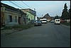 roste888.jpg