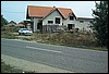 roste903.jpg