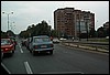 roste906.jpg