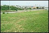 roste916.jpg
