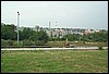 roste917.jpg