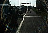 roste924.jpg