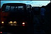 roste931.jpg