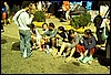 roste932.jpg
