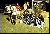 roste933.jpg