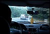 roste935.jpg