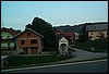 roste936.jpg