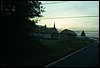 roste937.jpg