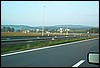roste941.jpg