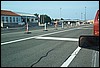 roste943.jpg